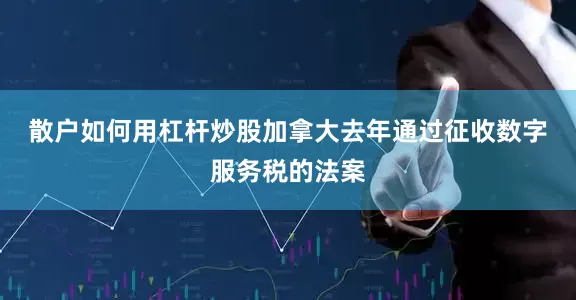 散户如何用杠杆炒股　　加拿大去年通过征收数字服务税的法案