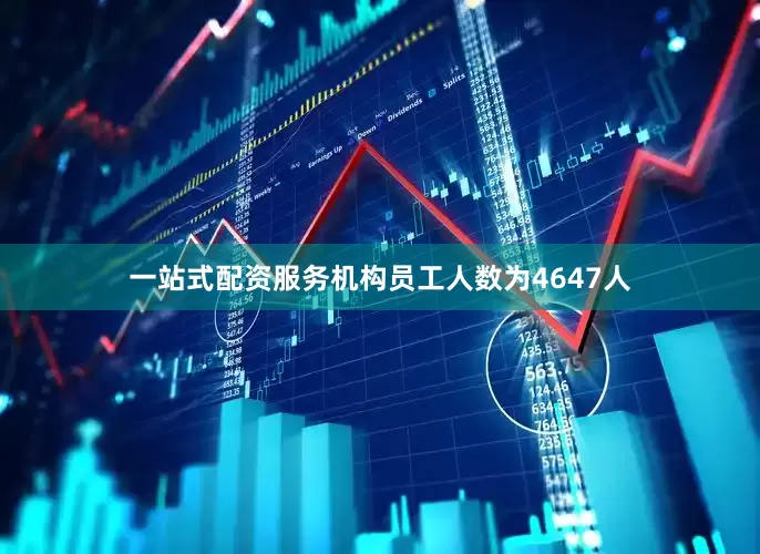 一站式配资服务机构员工人数为4647人
