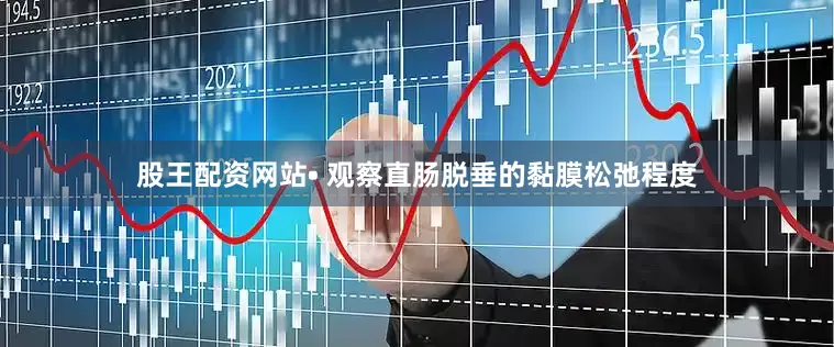 股王配资网站• 观察直肠脱垂的黏膜松弛程度