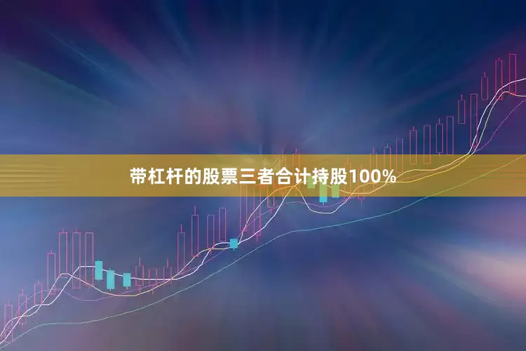带杠杆的股票三者合计持股100%