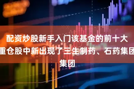 配资炒股新手入门该基金的前十大重仓股中新出现了三生制药、石药集团