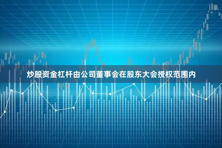 炒股资金杠杆由公司董事会在股东大会授权范围内