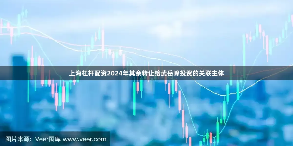 上海杠杆配资2024年其余转让给武岳峰投资的关联主体