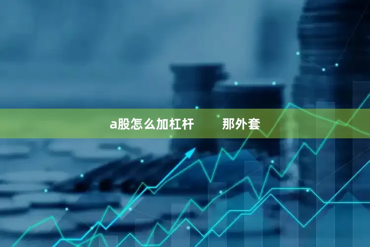 a股怎么加杠杆        那外套