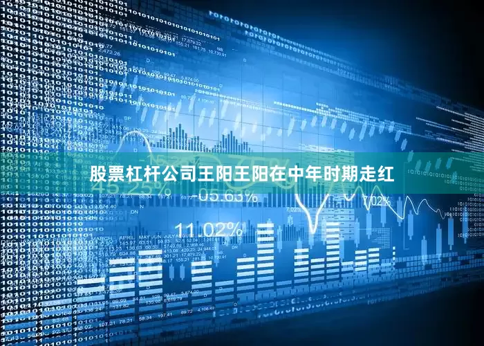 股票杠杆公司王阳王阳在中年时期走红