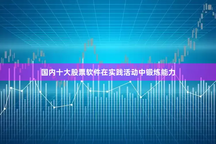 国内十大股票软件在实践活动中锻炼能力
