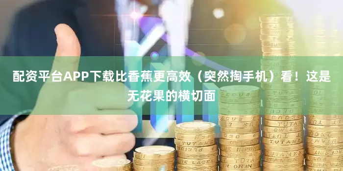 配资平台APP下载比香蕉更高效（突然掏手机）看！这是无花果的横切面