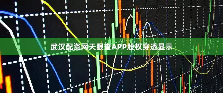 武汉配资网天眼查APP股权穿透显示