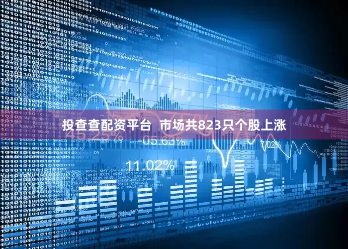 投查查配资平台  市场共823只个股上涨