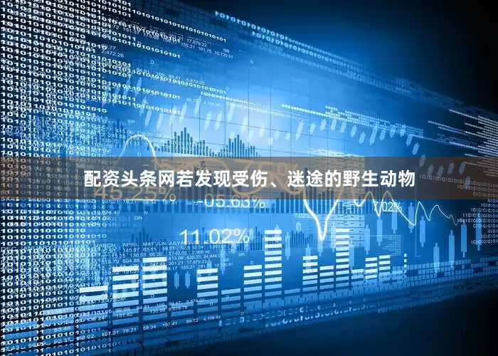 配资头条网若发现受伤、迷途的野生动物