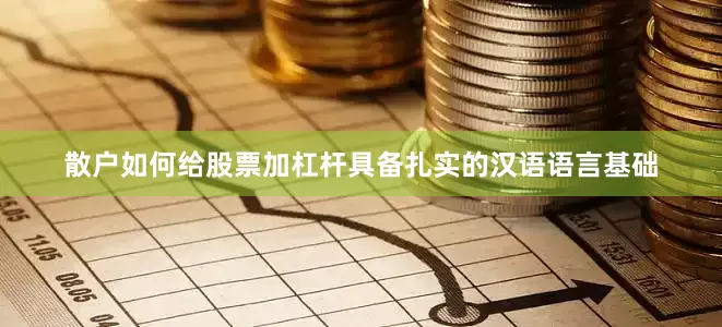 散户如何给股票加杠杆具备扎实的汉语语言基础