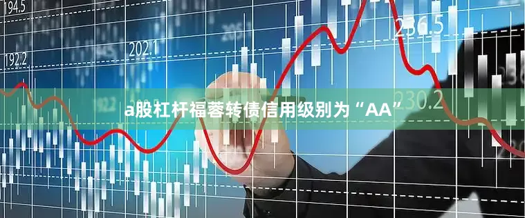 a股杠杆福蓉转债信用级别为“AA”